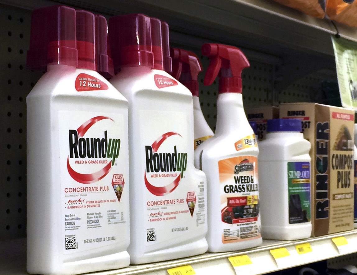 Containers of Roundup, left, a weed killer is seen on a shelf with other products for sale at a hardware store in Los Angeles on Thursday, Jan. 26, 2017. (AP/Reed Saxon)