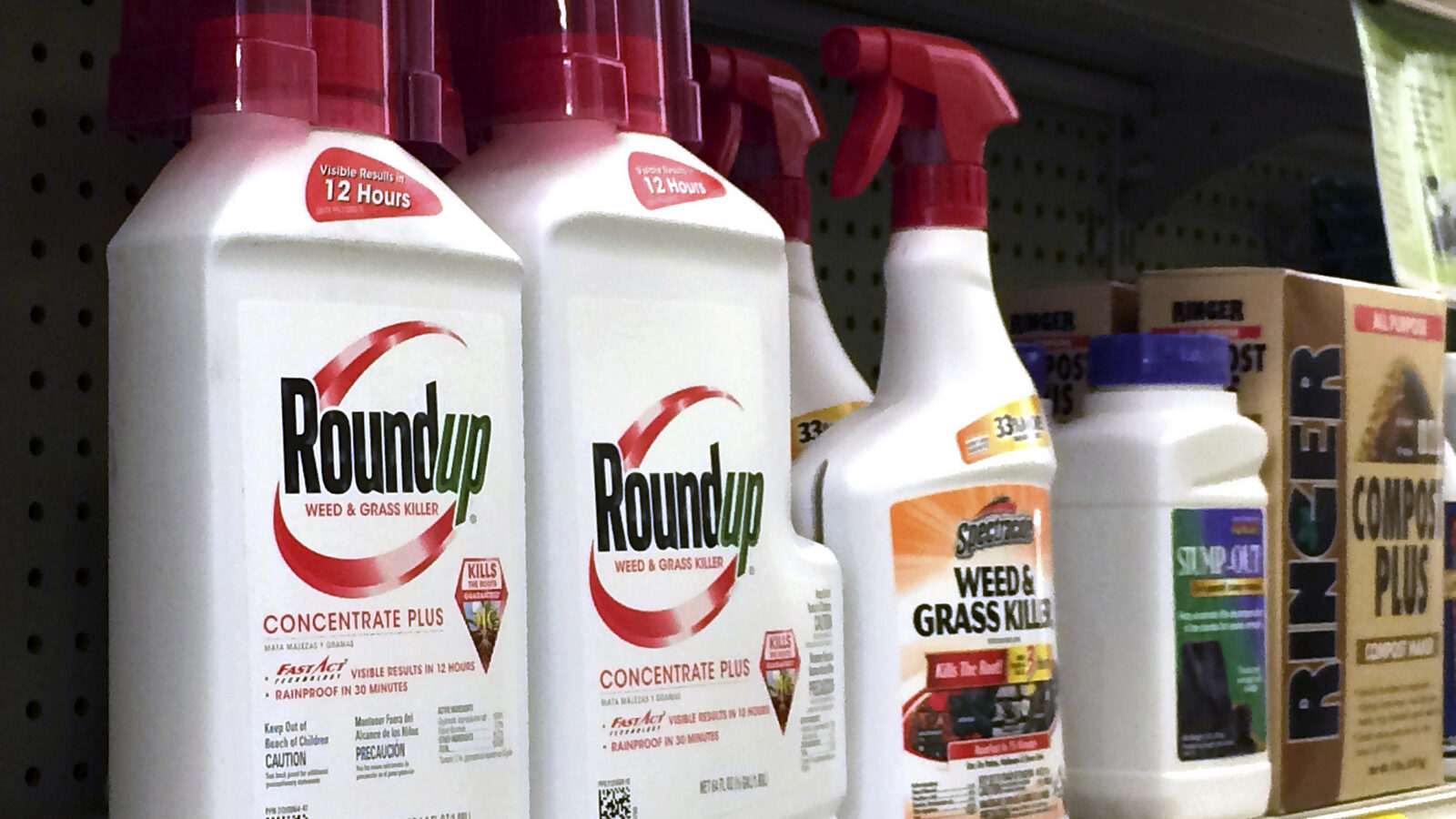 Containers of Roundup, left, a weed killer is seen on a shelf with other products for sale at a hardware store in Los Angeles on Thursday, Jan. 26, 2017. (AP/Reed Saxon)
