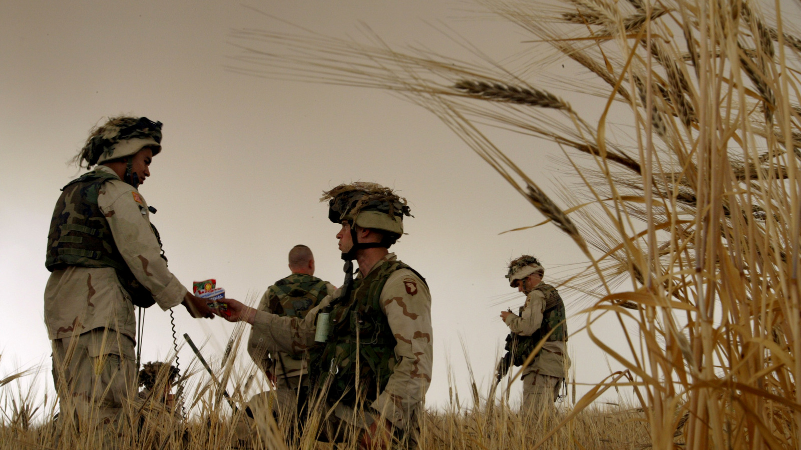 A U.S. Army soldier shares a bag of sunflower seeds with a fellow soldier, as they wait for a helicopter to pick them up in a field of barley nearly ready to harvest, outside Tall Ash Shawr, a village in northwestern Iraq, Monday, May 19, 2003. (AP/Brennan Linsley)