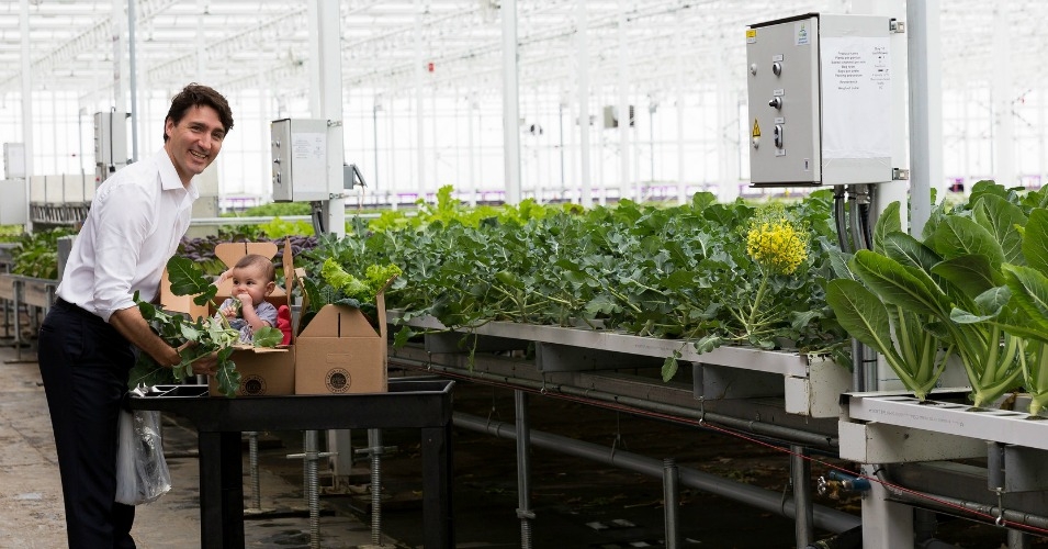 Canadian Prime Minister Justin Trudeau, pictured here visiting an urban greenhouse in Montreal last month, "sure is cute, the planet's only sovereign leader who appears to have recently quit a boy band," writes Bill McKibben. But don't be fooled. (Photo: Lufa Farms/flickr/cc)