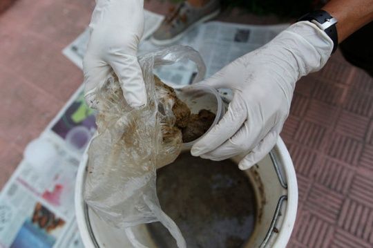 A woman puts feces in a bucket to prepare "poopootovs."