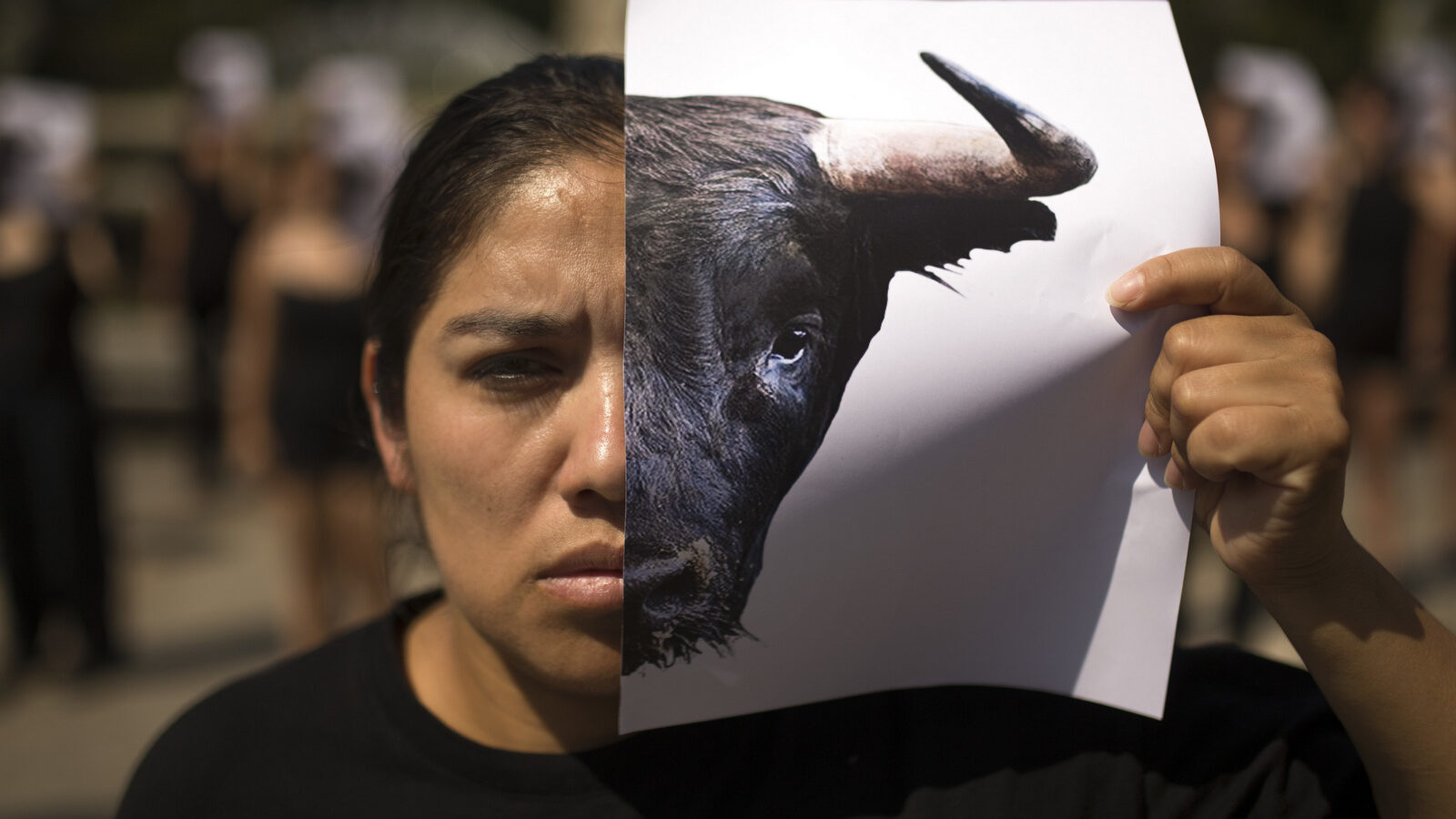 A woman holds up a picture of a bull during a protest against bullfighting in Madrid, June 21, 2017. For some people bullfighting is a traditional spectacle in Spain but animal rights activists see it as torture against animals. (AP/Francisco Seco)