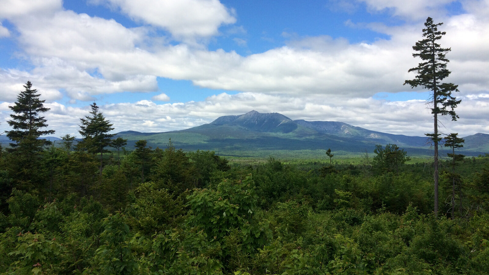 Mount Katahdin, the highest peak in Maine, is visible from some locations within the Katahdin Woods and Waters National Monument. The Katahdin monument is one of the 27 under threat by Trump's executive order. (AP/Patrick Whittle)