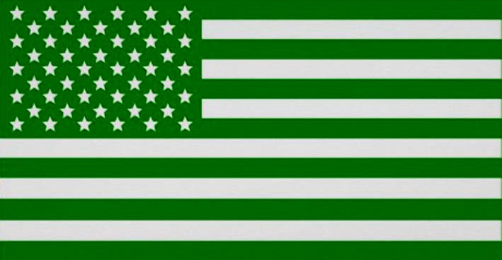 Green Party USA flag