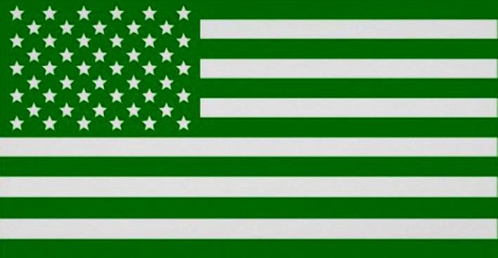 Green Party USA flag