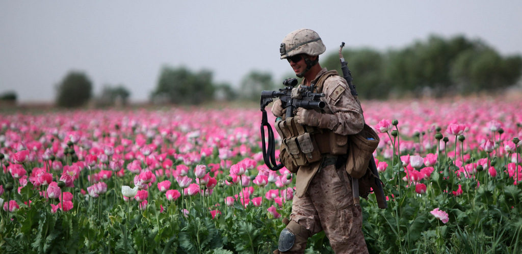 WATCH: Brave Congressman Explains How US Keeps Afghan Heroin Trade Alive at Your Expense