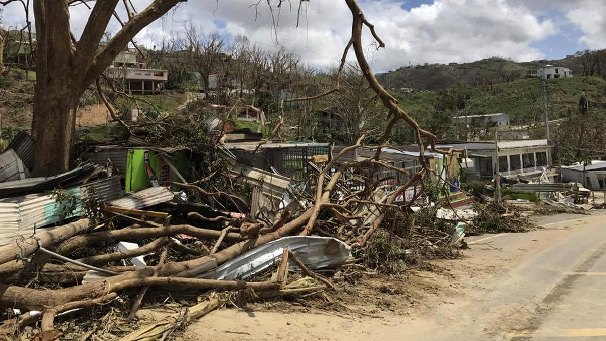 This undated photo provided by Hector Alejandro Santiago shows his farm in Barranquitas, Puerto Rico, destroyed by September 2017’s Hurricane Maria. For 21 years Santiago raised poinsettias, orchids and other ornamental plants which were sold to major retailers including Costco, Walmart and Home Depot. In a matter of hours Maria wiped it away. (Héctor Alejandro Santiago via AP)