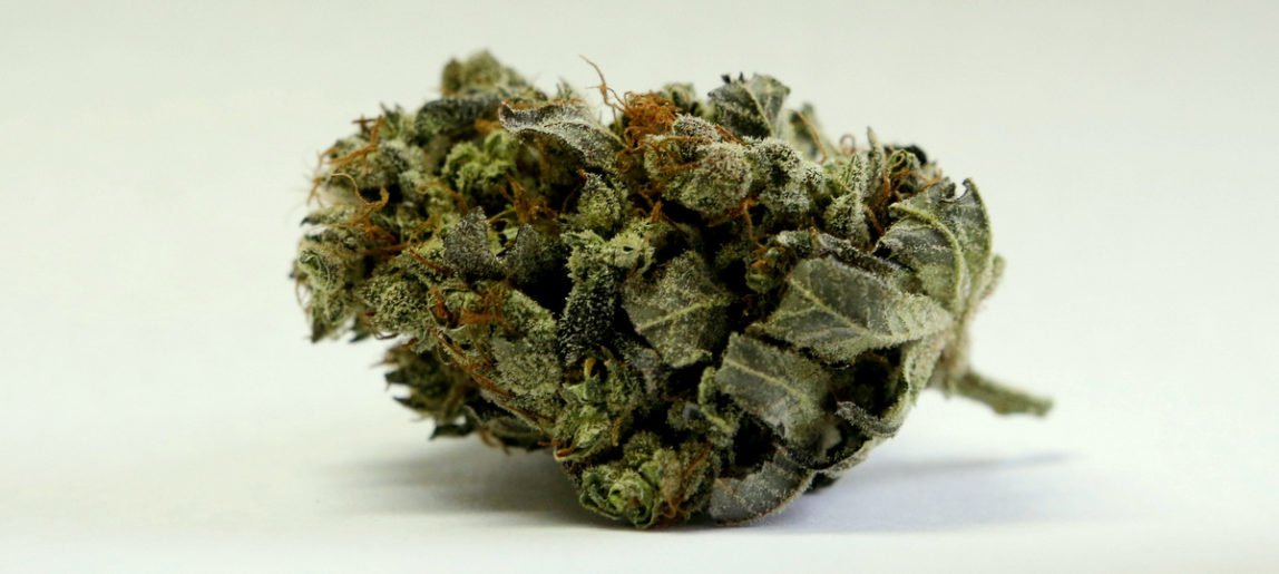 A marijuana bud is seen at a medical marijuana facility in Unity, Maine. (AP/Robert F. Bukaty)