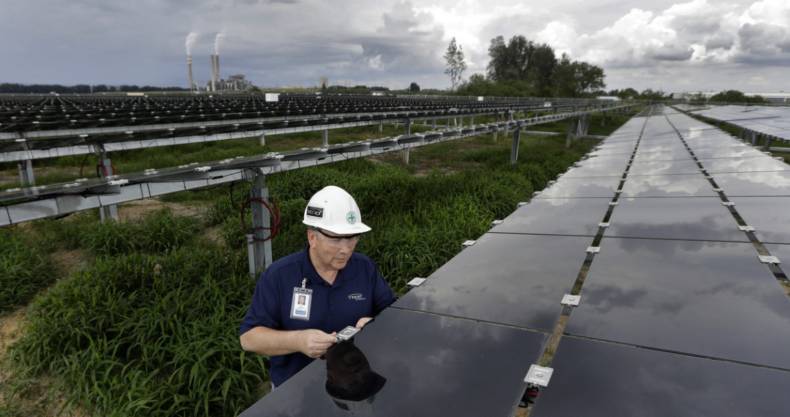 Guy Morris, project manager for the Tampa Electric Company's Big Bend Solar Station, works on solar panels Friday, June 2, 2017, in Gibsonton, Fla. The panels at the station power about 3,000 homes in the area. (AP Photo/Chris O'Meara)