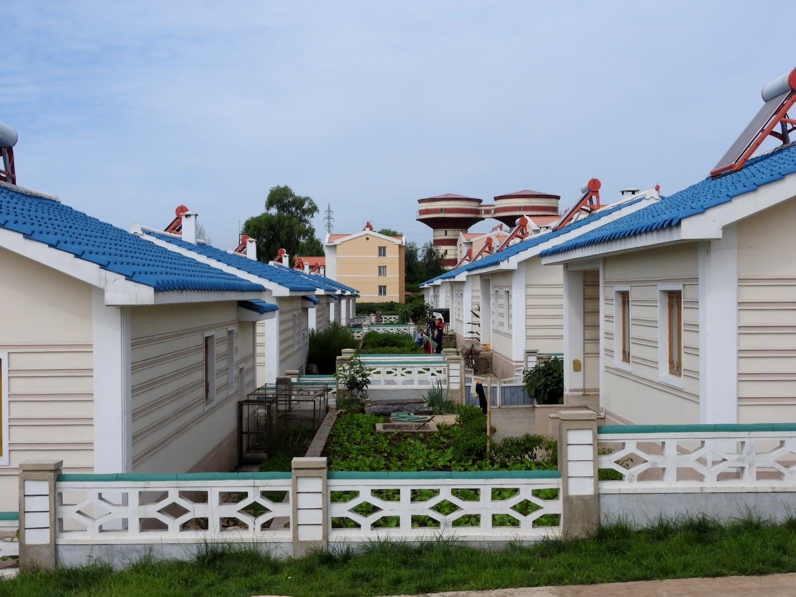 Plots of land surround houses in the Jangchon Cooperative Vegetable Farm. Homes are equipped with solar water heaters, and use methane gas for cooking. Song Myong-Oh moved with her husband from Kangnam county to the farm. Outside their home grew eggplants, peppers, corn, and herbs. Of America's threats against North Korea she said: “Although we don't want war, we are not afraid of the US.”