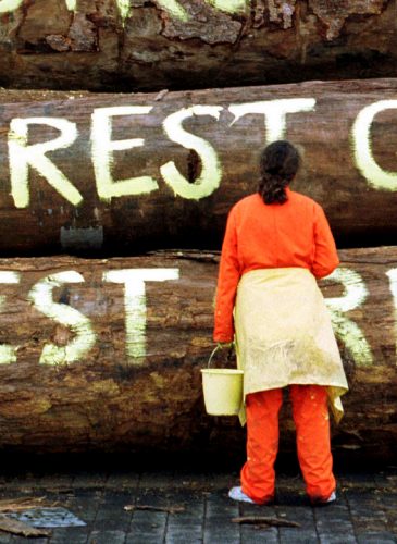 A Greenpeace campaigner writes "Forest Crime" and "G8 destroys forests" on logs at the port of Nordenham, northwest Germany, Thursday, July 20, 2000. (AP/Joerg Sarbach)
