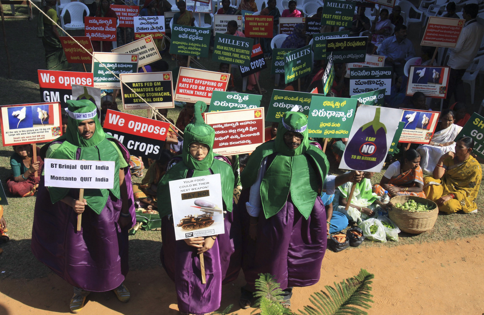 Farmers hold signs as activists dressed as Bt brinjal eggplants, look on at a protest during Indian Environment Minister Jairam Ramesh's visit to attend a public hearing on the genetically modified eggplant crop at Central Research Institute for Dryland Agriculture in Hyderabad, India.(AP/Mahesh Kumar)