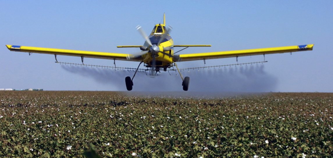 As Europe Readies Ban on Bee-Killing Pesticides, Attention Turns To Bayer-Funded Studies