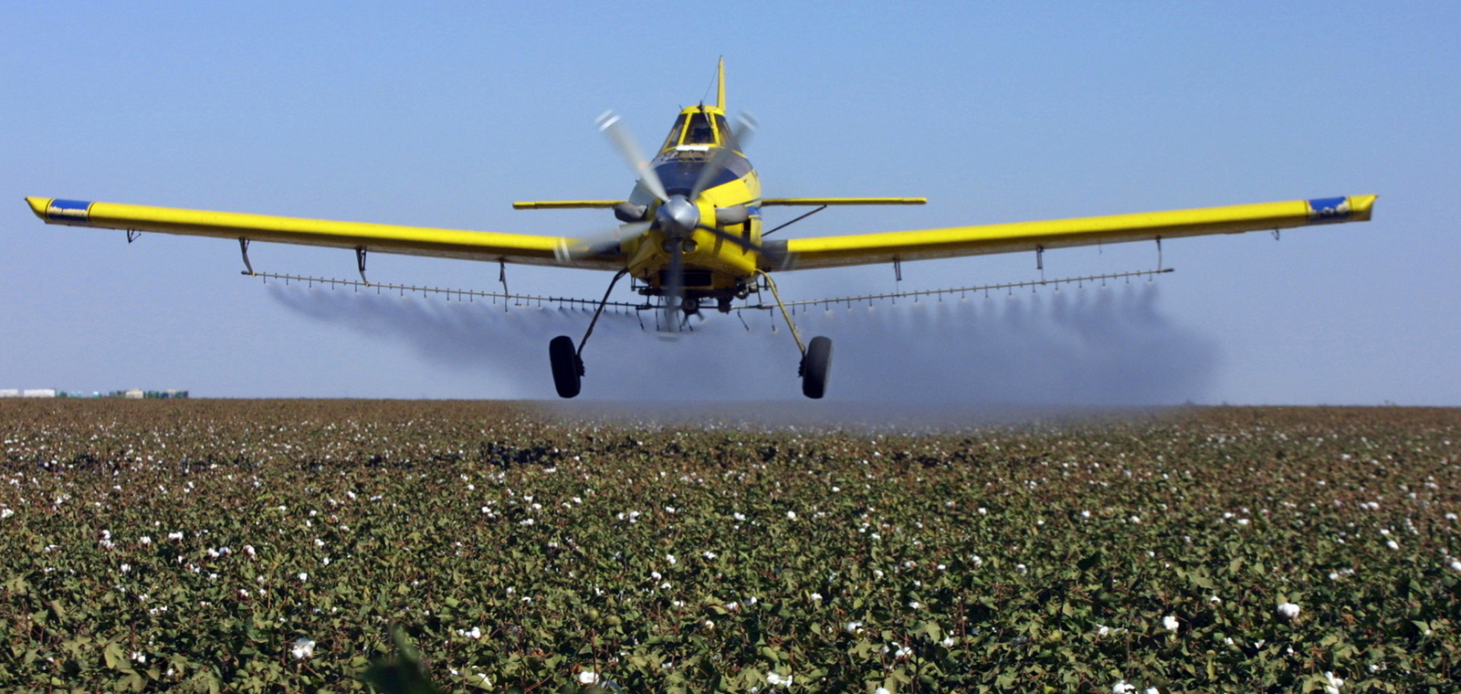 A crop dusting plane from Blair Air Service dusts cotton crops in Lemoore, Calif. (AP/Gary Kazanjian)