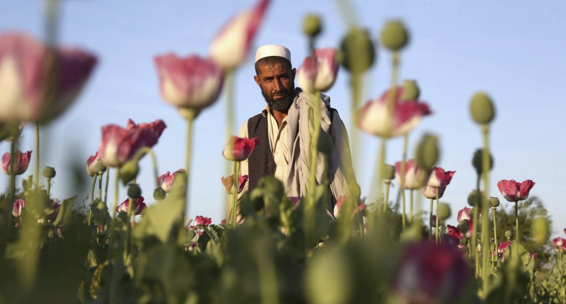 How a Failed Drug War Will Defeat Trump’s Afghanistan Adventure