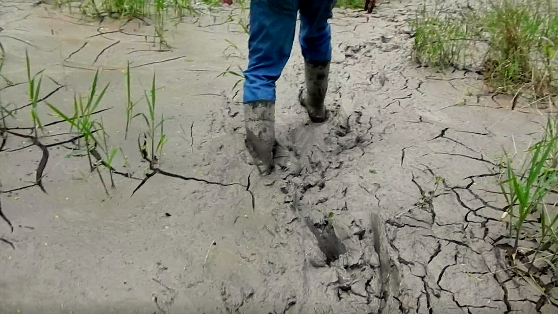 Ohio EPA crews walk through a Stark County wetlands filled with drilling mud after a pipeline construction spill. (Photo: OHIO EPA)