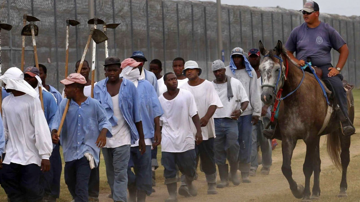 A prison guard on horseback watches inmates return from a farm work detail at the Louisiana State Penitentiary in Angola, La.