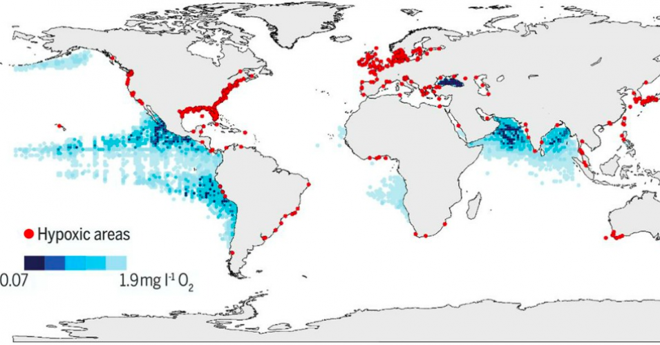 Big Ag, Climate Crisis Key Drivers of Ocean ‘Dead Zones’ Quadrupling in Size Over Last 60 Years