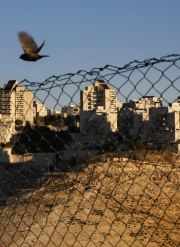 The Israeli Jewish-settlement of Maale Adumim, near Jerusalem, Feb. 7, 2017. (AP/Oded Balilty)