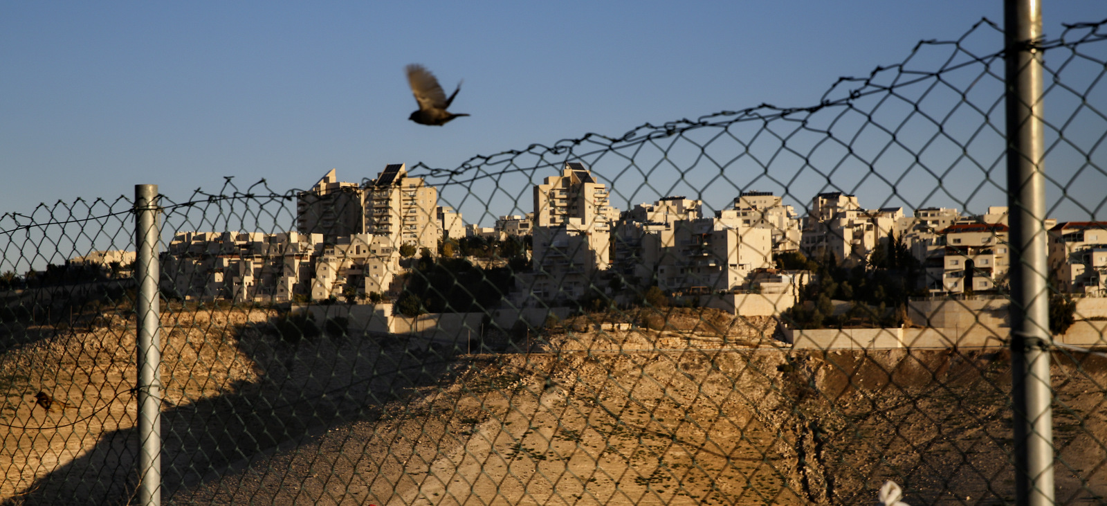 The Israeli Jewish-settlement of Maale Adumim, near Jerusalem, Feb. 7, 2017. (AP/Oded Balilty)