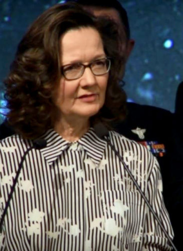 Gina Haspel speaks at the 2017 William J. Donovan Award Dinner (Screenshot)