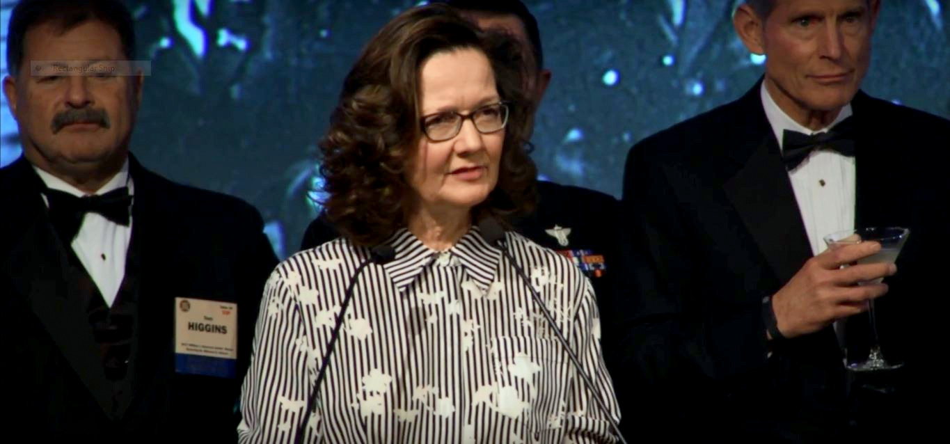 Gina Haspel speaks at the 2017 William J. Donovan Award Dinner (Screenshot)