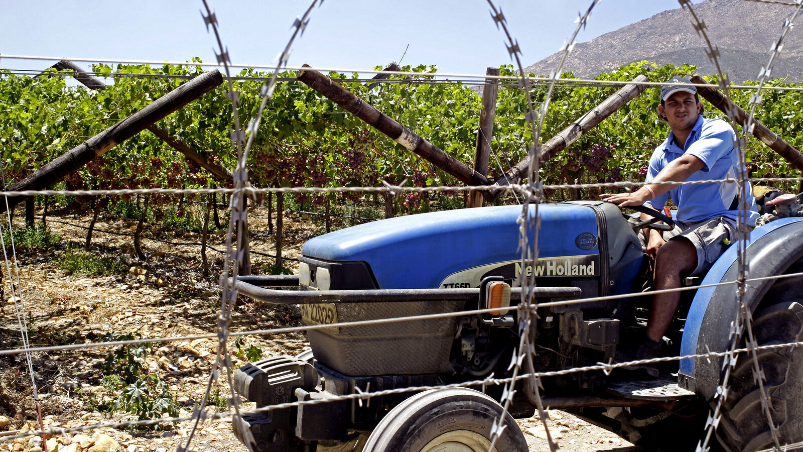 White South Africans comprise a tiny minority of South Africa's population, but own most of the country's farmland. Schalk van Zuydam | AP