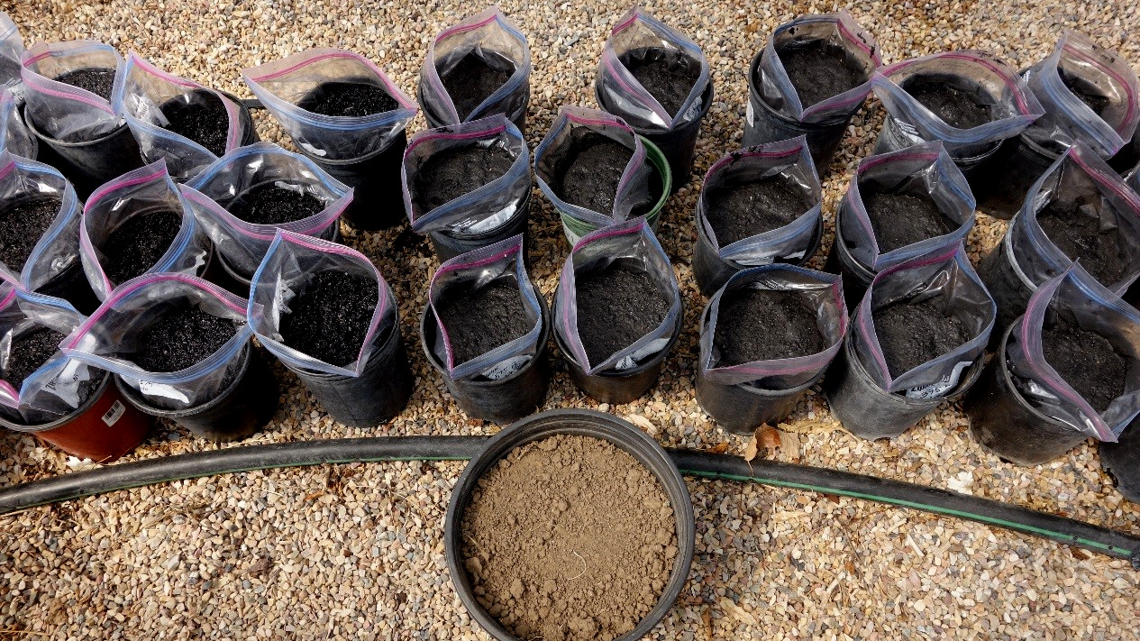 Biochar samples used in Utah State University research.