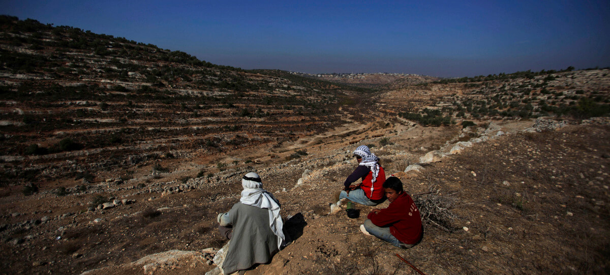 巴勒斯坦农民在2009年10月13日在拉马拉郊区Nabi Saleh的西岸村庄收获时采摘橄榄.Muhammed Muheisen |一个{