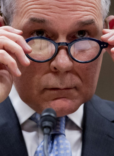 Environmental Protection Agency Administrator Scott Pruitt appears before a Senate Appropriations subcommittee on budget on Capitol Hill in Washington. A federal appeals court has ruled that the Trump administration endangered public health by keeping a top-selling pesticide chlorpyrifos on the market, despite extensive scientific evidence that even tiny levels of exposure could harm babies’ brains. Andrew Harnik | AP