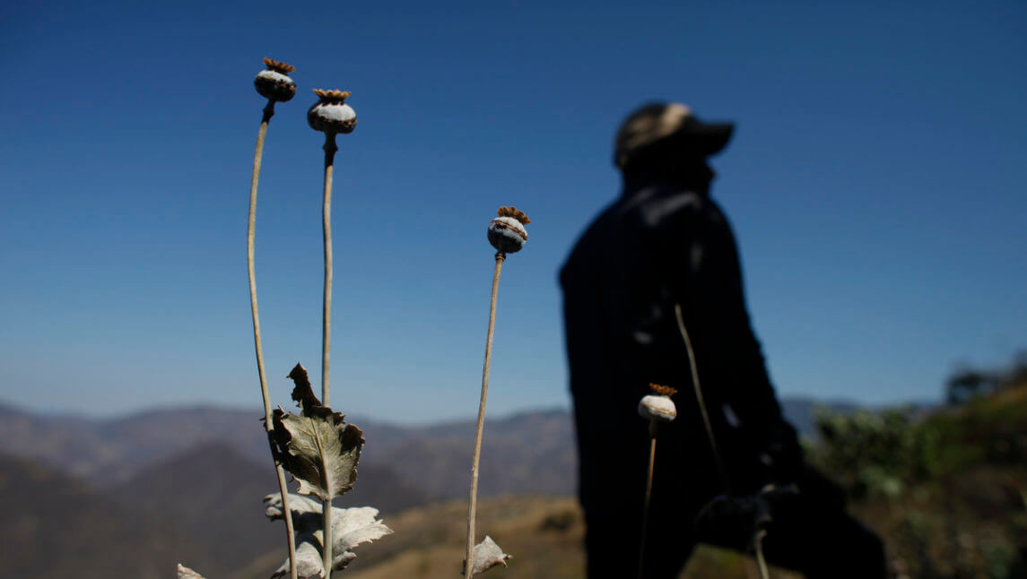 墨西哥可能使海洛因合法化：福克斯新闻说空军和海军陆战队员