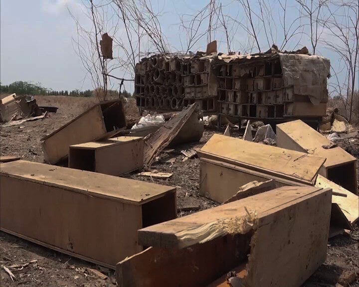 Yemen Saudi Arabia airstrike bee farm