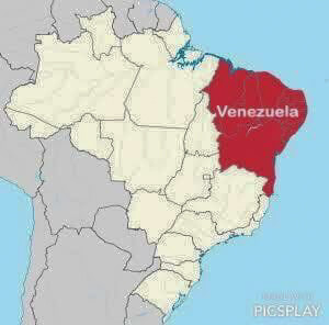 巴西选举|委内瑞拉