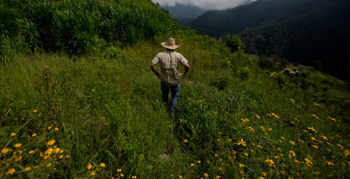 Venezuela | Farmers