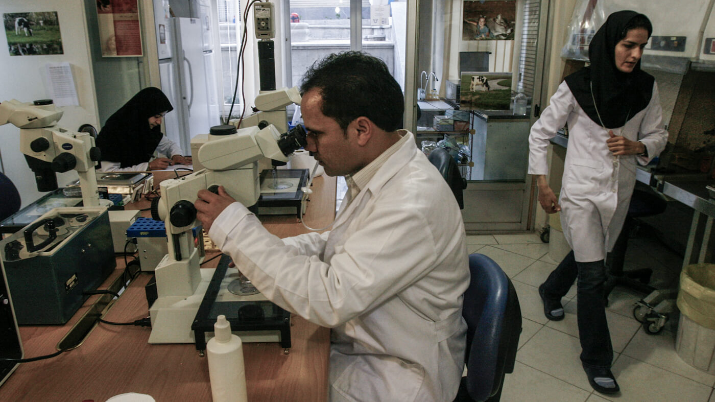 Iranian scientists