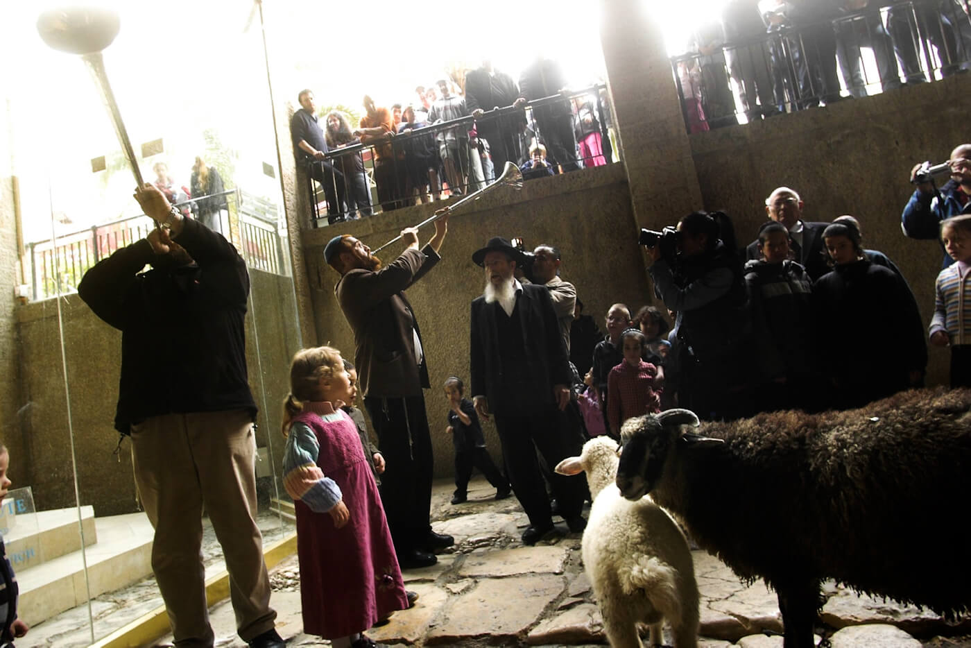 Temple Mount Faithful | Yisrael Ariel