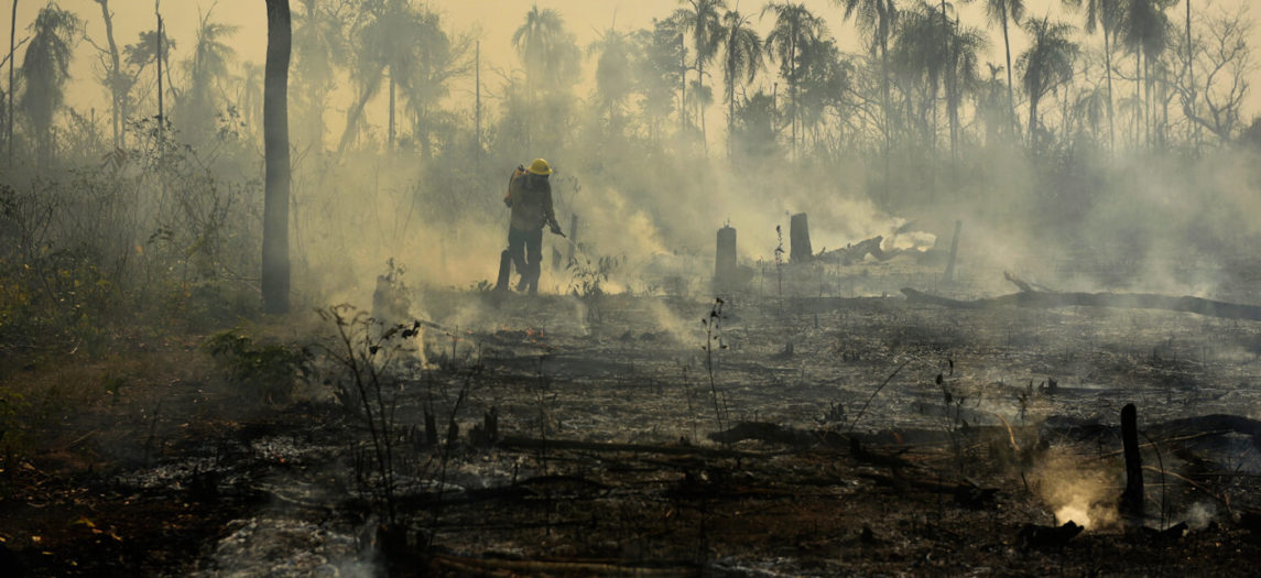 Отчет показывает, что корпорации и Bolsonaro объединяются, чтобы уничтожить Амазонку