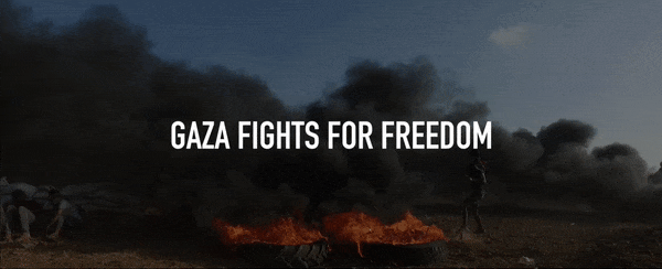 Gazafightsforfreedom gif