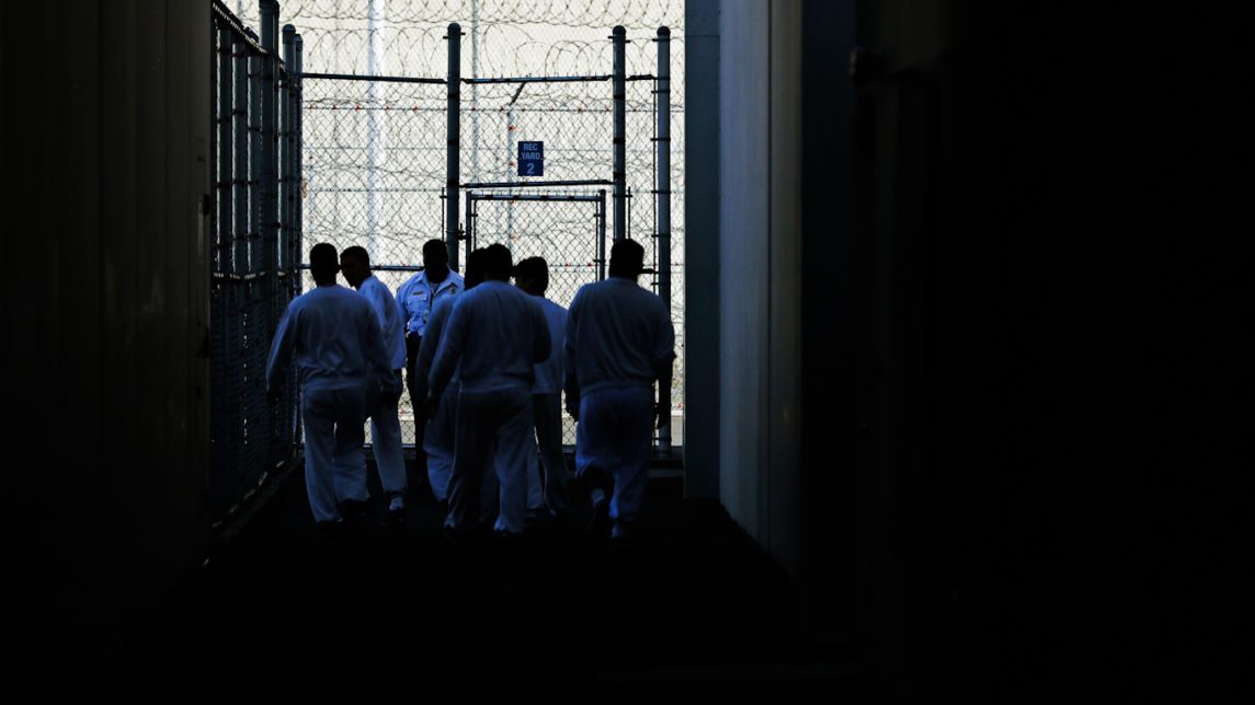 私人ICE营地的囚犯在COVID-19爆发，状况恶化的情况下进行绝食