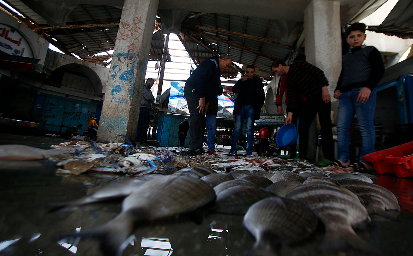 Pescador de Gaza