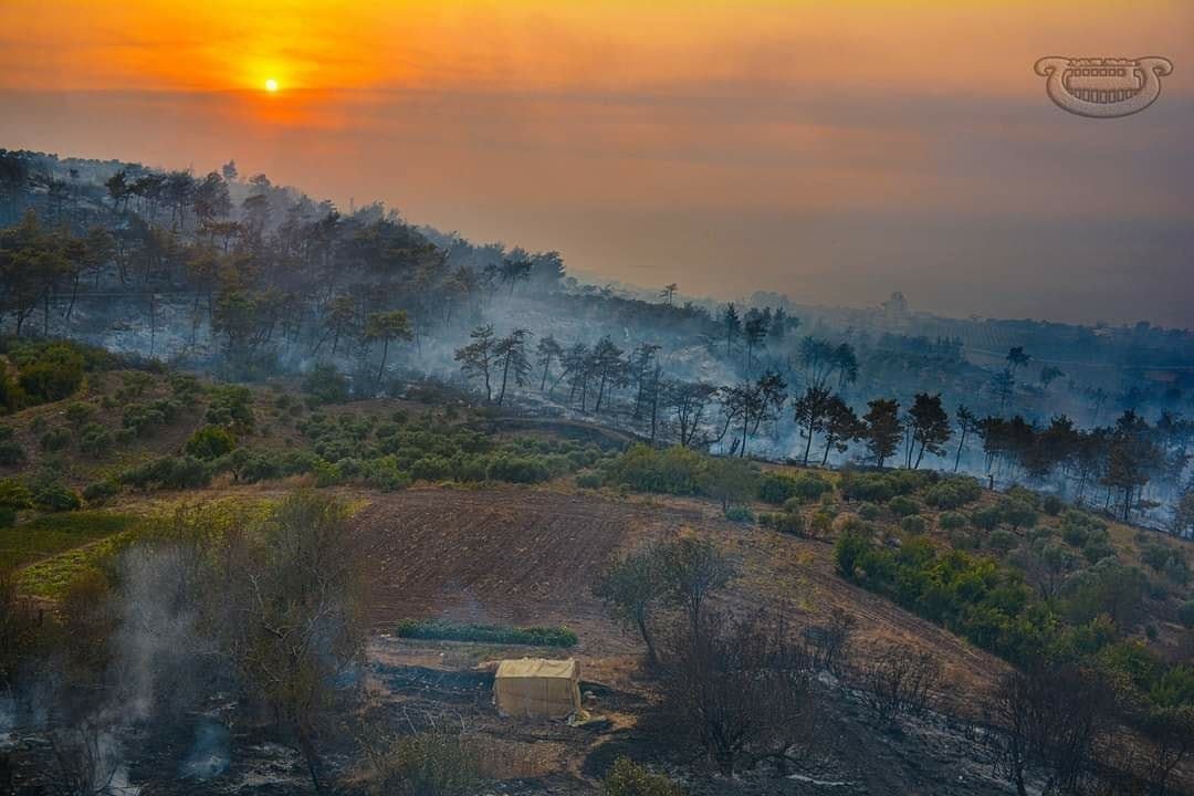 The aftermath of one of the fires in western Syria. The smouldering remains. Photo | Ibra Joudeh.