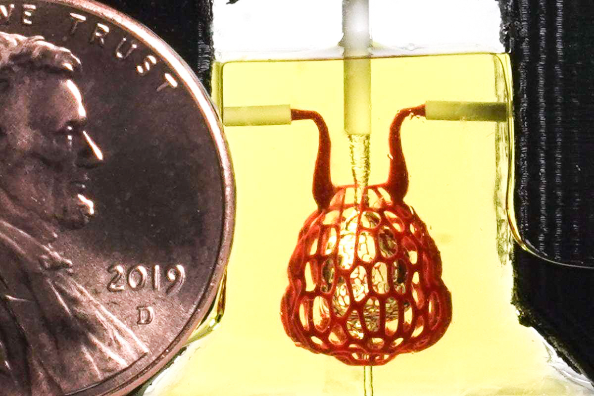 hydrogel Penny