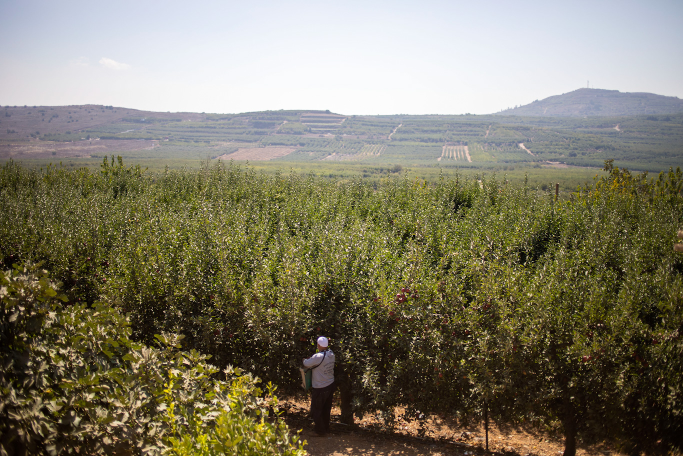 Golan Heights wind 