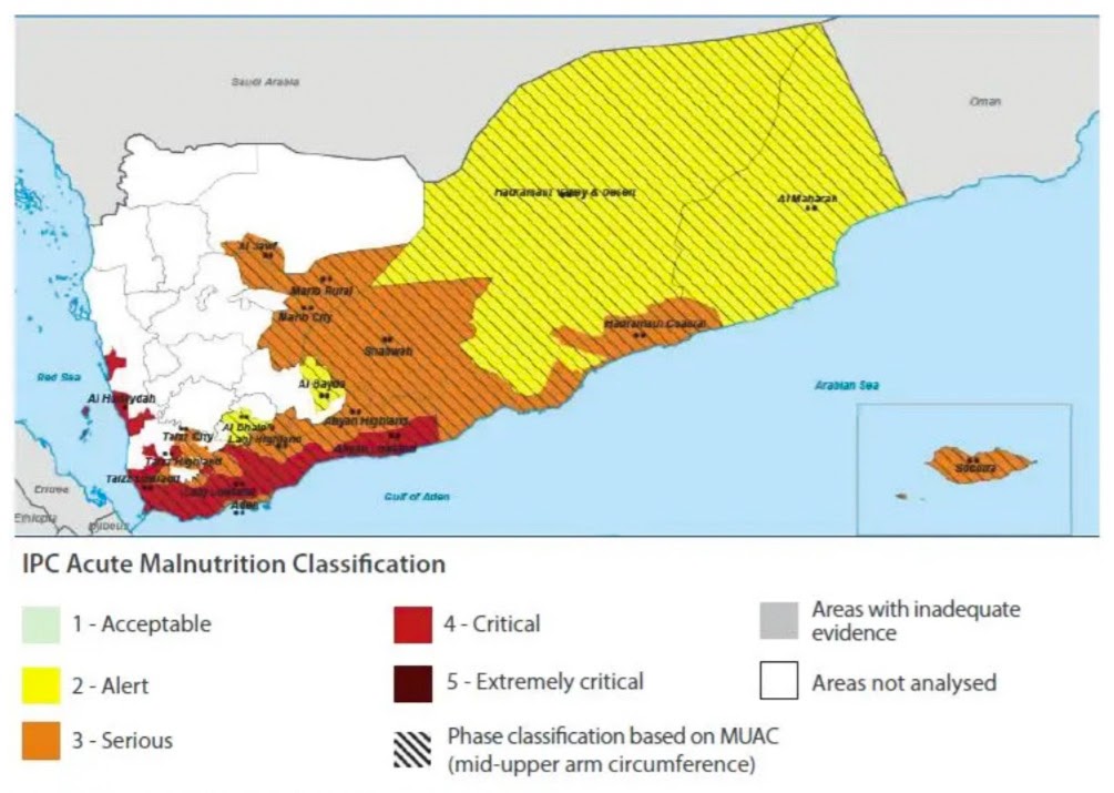 Informe de situación Yemen 11 de noviembre de 2020 editado en pdf