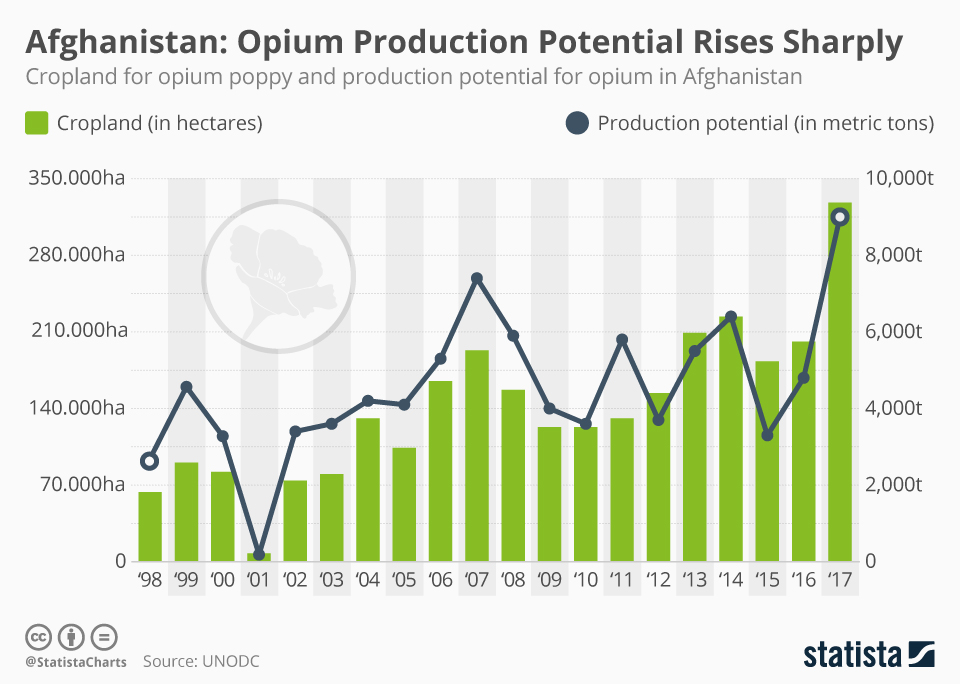 Gráfico de producción de opio de Afganistán