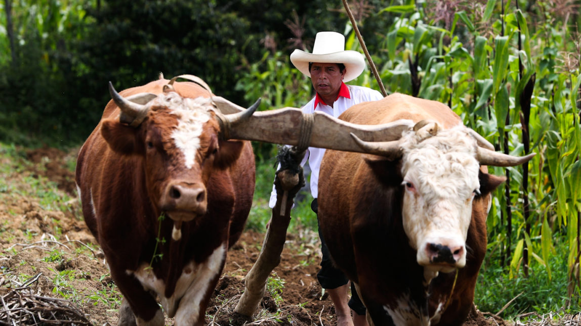 Rural Teacher Pedro Castillo Poised to Write a New Chapter in Peru’s History