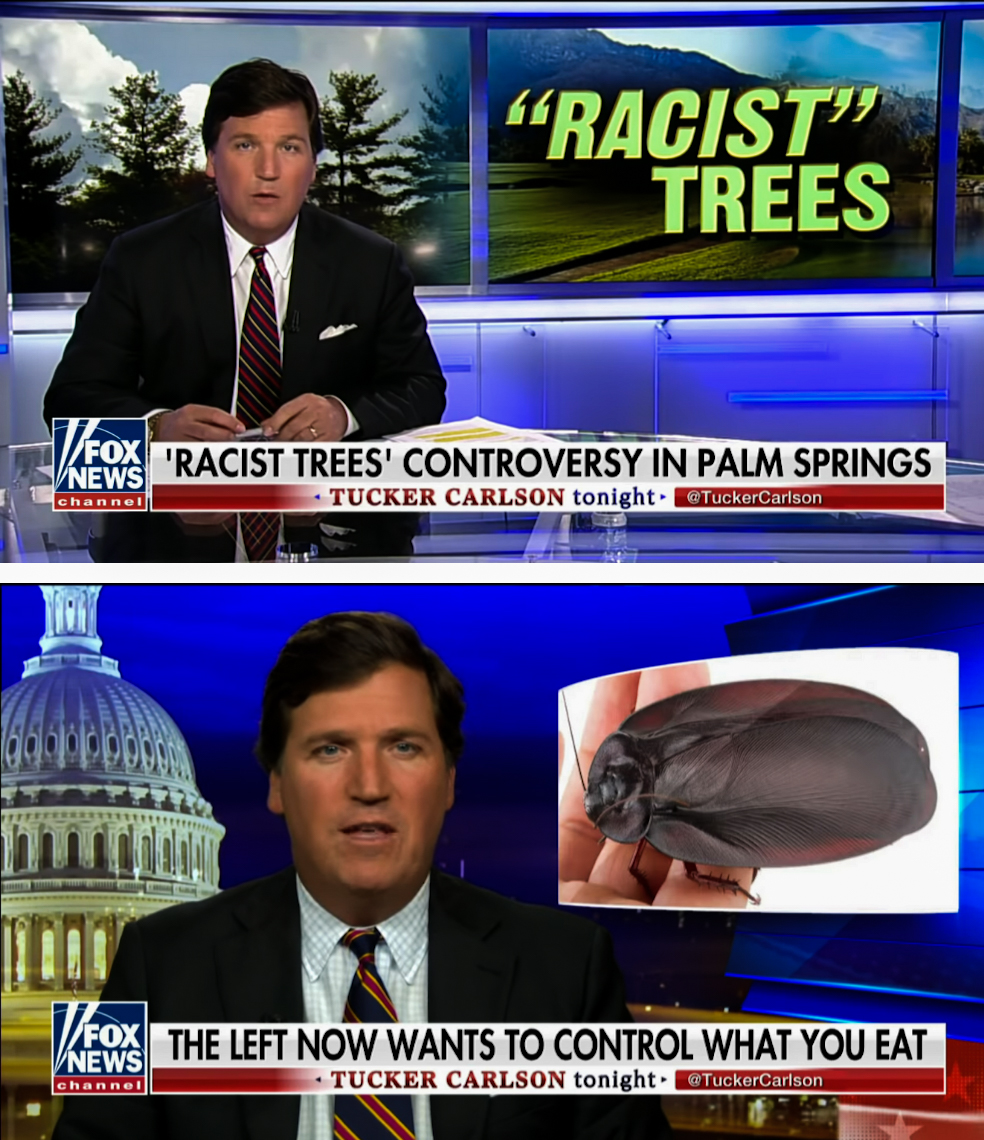 tucker carlson