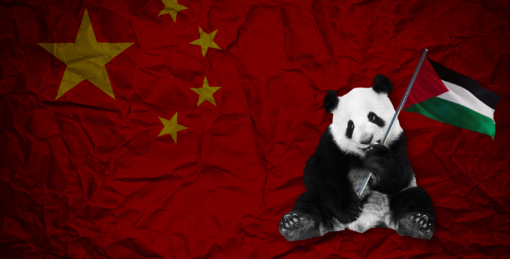 China Palestine Feature photo