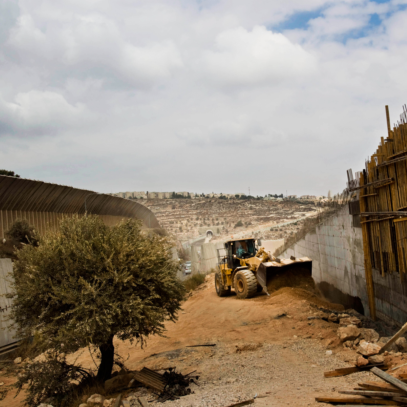 Israel medio ambiente