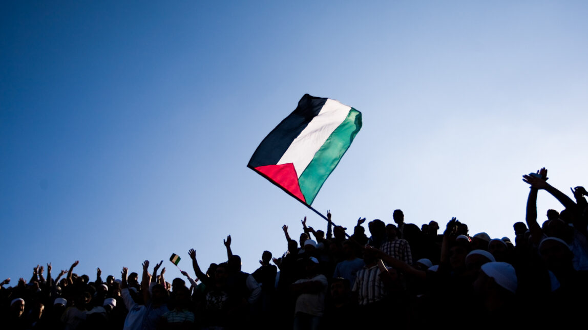 Palestinian solidarity Feature photo